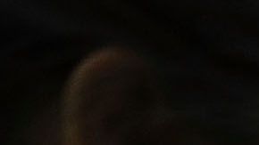 El senador Richard Burr.