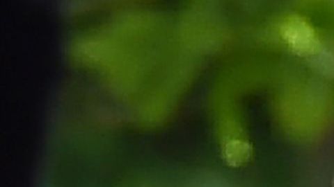 El príncipe Carlos junto a Camila, la duquesa de Cornualles.