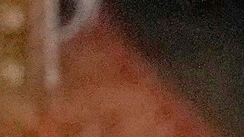 En la imagen aparecen el príncipe Harry junto a su hermano, el futuro rey de Inglaterra, el príncipe William.