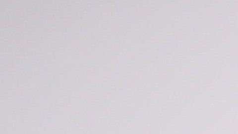 Premiere Of Disney And Marvel's "Ant-Man And The Wasp" - Arrivals