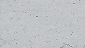 Perceval el Galés. Más adelante, ve cómo un halcón ataca a un ganso, del que caen tres gotas de sangre sobre la nieve.