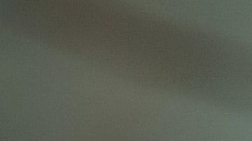 Las plantas absorben las malas vibras.