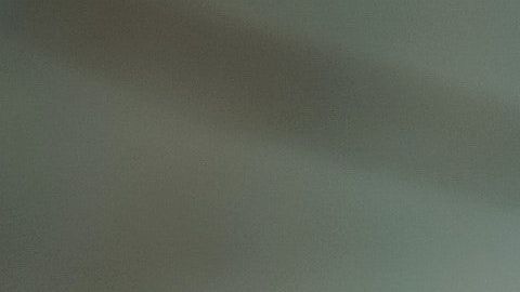 Las plantas absorben las malas vibras.