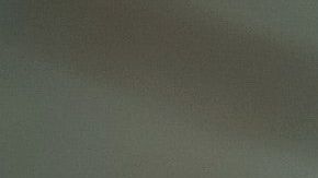 Las plantas absorben las malas vibras.