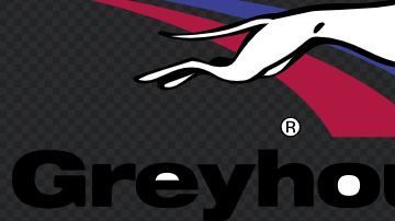 Autobuses Greyhound.