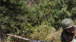 Sembradíos de amapola. Getty