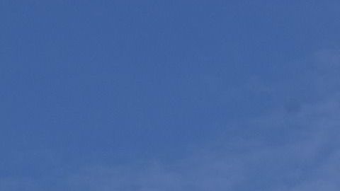 Crédito: Sohrob - Fuente: Pixabay