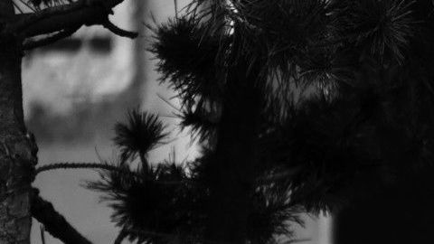 Esta imagen podría multiplicarse en muchas familias desalojadas durante el COVID-19.