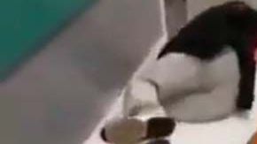 Las imágenes de pacientes en el suelo fueron tomadas desde el Hospital Infanta Leonor, en Madrid.
