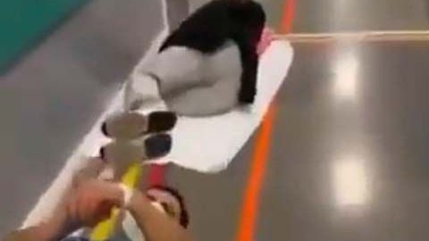 Las imágenes de pacientes en el suelo fueron tomadas desde el Hospital Infanta Leonor, en Madrid.