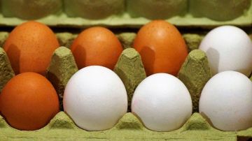 En algunos negocios, los huevos escasean debido a la emergencia por coronavirus.