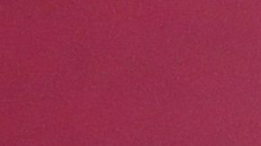 El subsecretario de Prevención y Promoción de la Salud del Gobierno de México, Hugo López-Gatell.