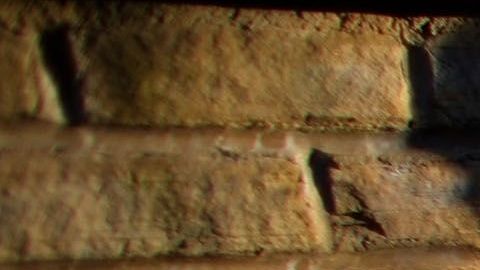 Víctimas de tráfico humano.