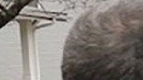 ICE continúa con sus operativos en todo el país.