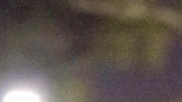 Tres centros de detención del sur de la Florida se han puesto en cuarentena.