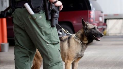 Un canino alertó a los agentes.