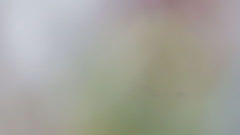 José Cardozo cuando era DT del Toluca.