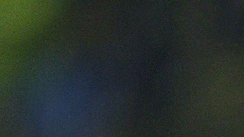 'Bofo' y Fabián brillaron en la Copa Libertadores de 2010.