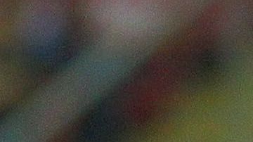 Pizarro fue campeón con Chivas en el Clausura 2017.