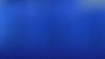 El mediocampista marroquí fue multado por su club.