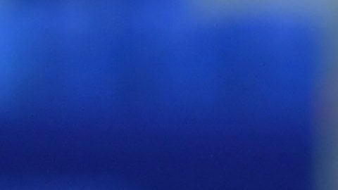 El mediocampista marroquí fue multado por su club.