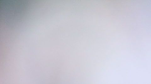 Márquez jugó cinco mundiales.