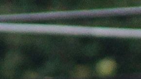 Mariana Arceo regresó a México después de una gira por Europa.