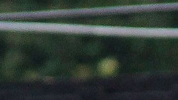 Mariana Arceo regresó a México después de una gira por Europa.