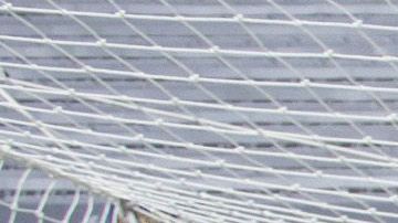 Los compadres festejaban de manera similar desde el 2006.