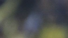 América ganó el primer Mundial de Clubes virtual de golazos.