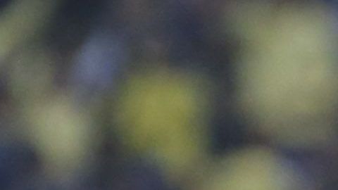 América ganó el primer Mundial de Clubes virtual de golazos.