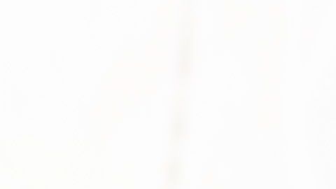 Renato Ibarra intento safarse de la ley con dinero.