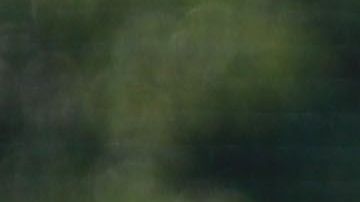 Míchel González reconoce la importancia de los de Coapa.