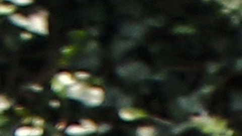 Trelles falleció a los 103 años de edad.