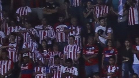 Chivas cuenta con apoyo en cada plaza que visita.