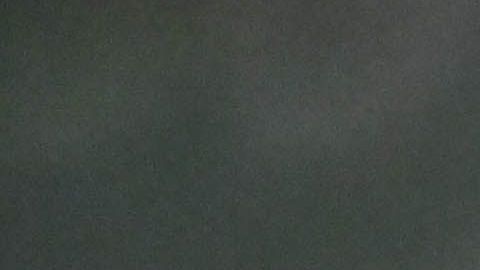 Vega habría tenido problemas de salud.