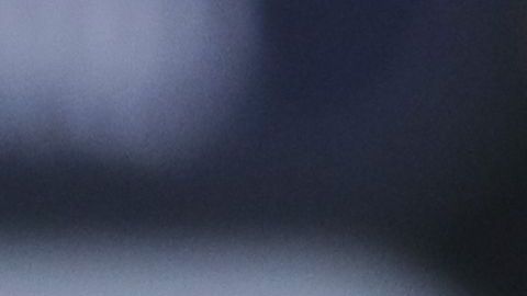 Los juegos de marzo de la Selección Mexicana fueron cancelados..