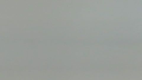 El delantero felino será rival de México en el Preolímpico de Concacaf.