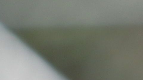 Haret Ortega es una de las nuevas promesas del América.