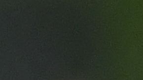 'Chicote' y Antuna fueron muy criticados por su indisciplina.