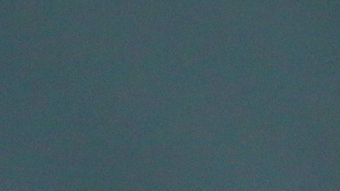 Miguel Herrera es el único que decide quién juega y no en el América.