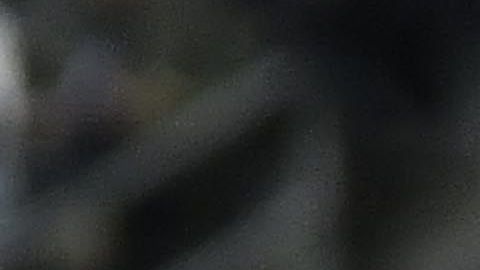 Luis Fuentes celebrando su anotación con las Águilas.