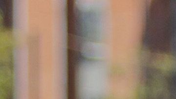 El América entrenará desde sus casas.