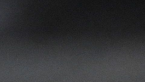 Bruno Valdez quiere quedarse en América.
