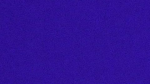 Enrique Bonilla dio positivo para coronavirus.