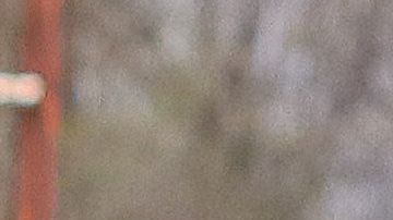 Todo parece indicar que el mediocampista ya no entra en los planes de los felinos.