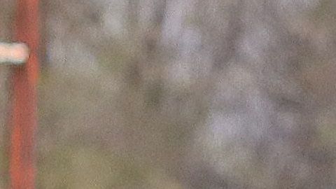 Todo parece indicar que el mediocampista ya no entra en los planes de los felinos.