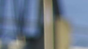 La afición del América es una de las más apasionadas de México.