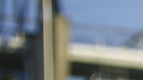 La afición del América es una de las más apasionadas de México.