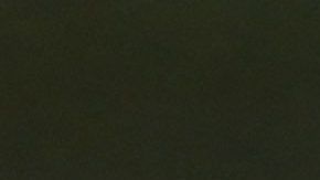 Miguel Herrera no está informado sobre el caso de Ibarra.